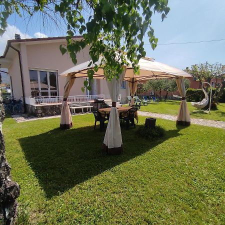 La Mimosa Chic Bed & Breakfast Pietrasanta Exterior photo
